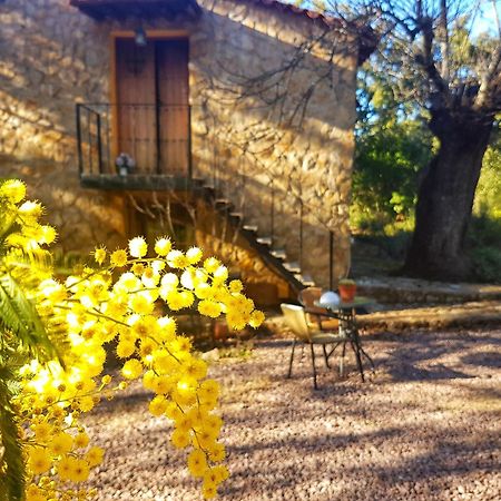 Finca La Virinuela (Adults Only) Βίλα Galaroza Εξωτερικό φωτογραφία