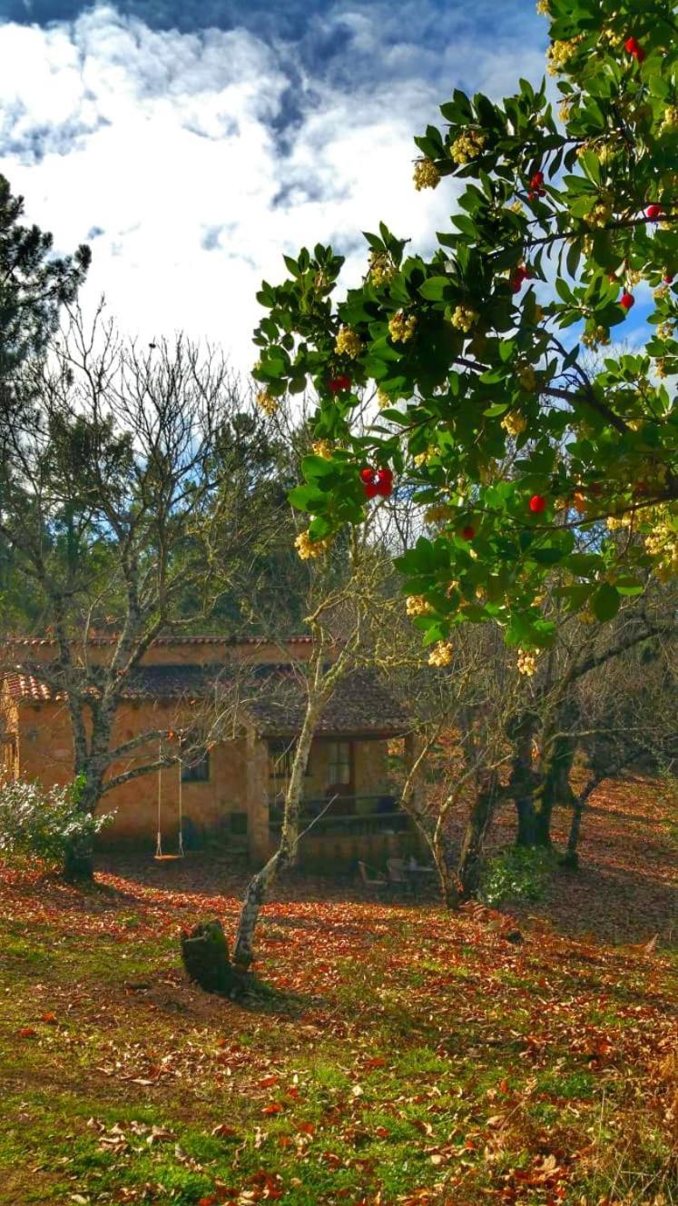 Finca La Virinuela (Adults Only) Βίλα Galaroza Εξωτερικό φωτογραφία