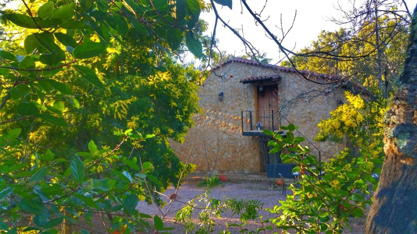 Finca La Virinuela (Adults Only) Βίλα Galaroza Εξωτερικό φωτογραφία