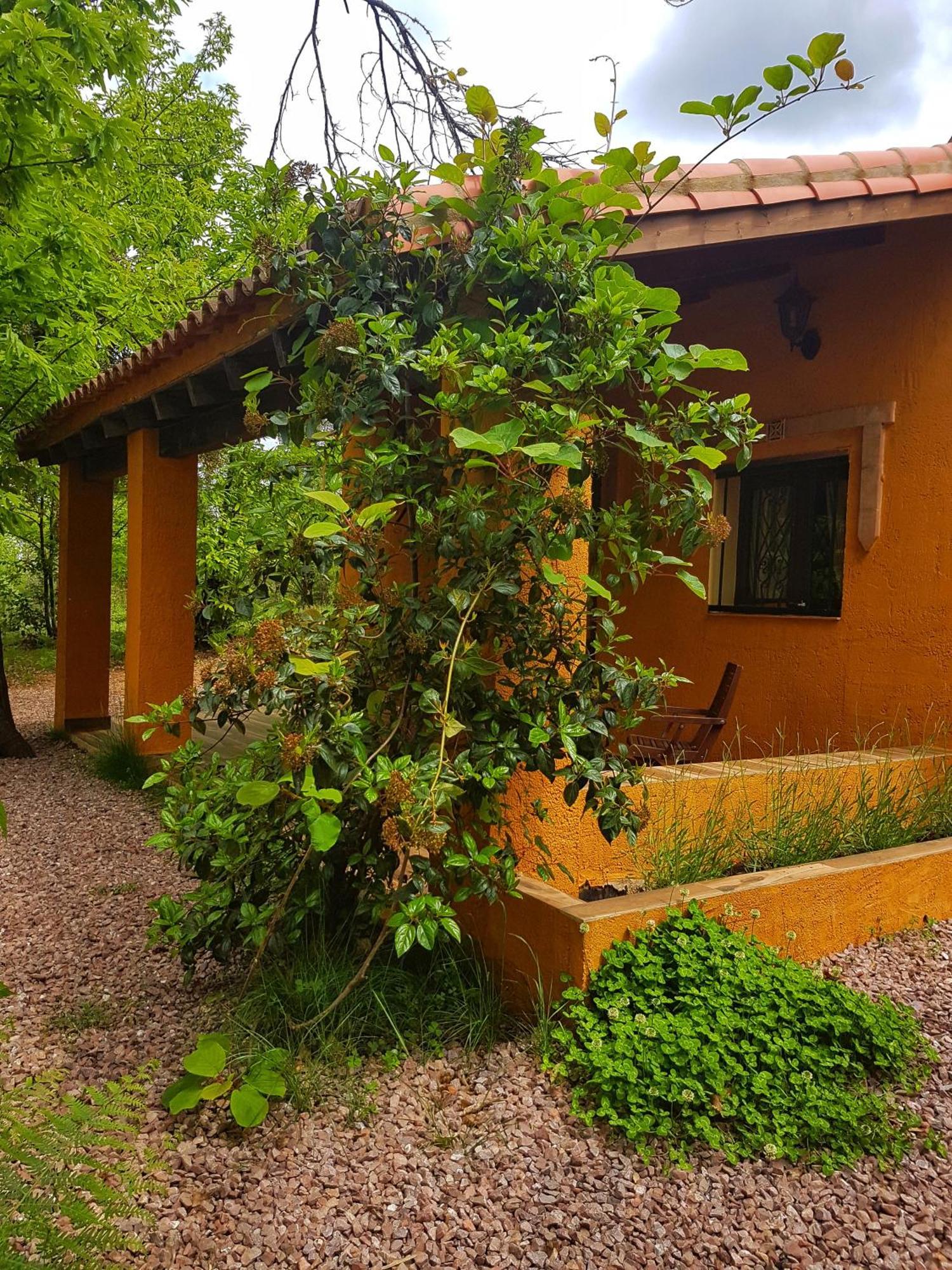 Finca La Virinuela (Adults Only) Βίλα Galaroza Εξωτερικό φωτογραφία